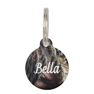 Wild Turkey Feathers I Abstract Nature Design Pet Tag