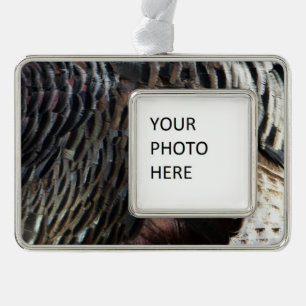 Wild Turkey Feathers I Abstract Nature Design Silver Plated Framed Ornament