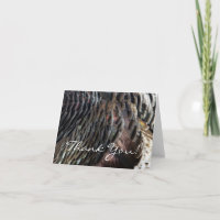 Wild Turkey Feathers I Abstract Nature Design