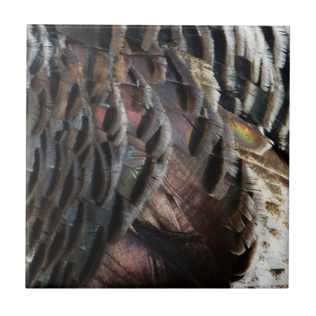 Wild Turkey Feathers I Abstract Nature Design Tile (Front)