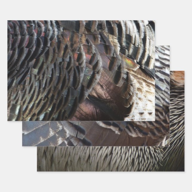 Wild Turkey Feathers I Abstract Nature Design Wrapping Paper Sheet (Set)