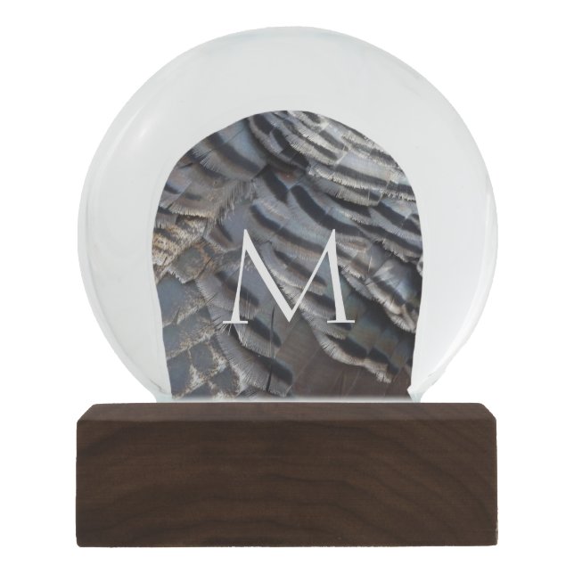 Wild Turkey Feathers II Abstract Nature Design Snow Globe (Front)