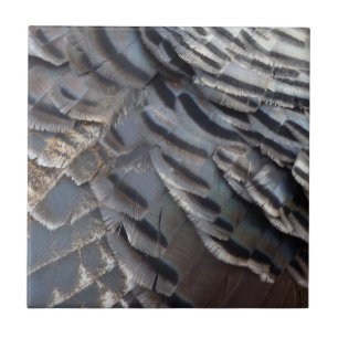 Wild Turkey Feathers II Abstract Nature Design Tile