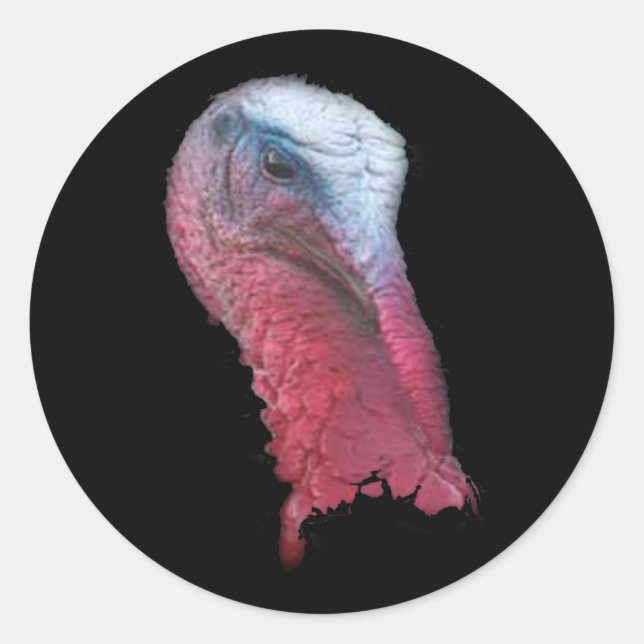 Wild Turkey Head Classic Round Sticker (Front)