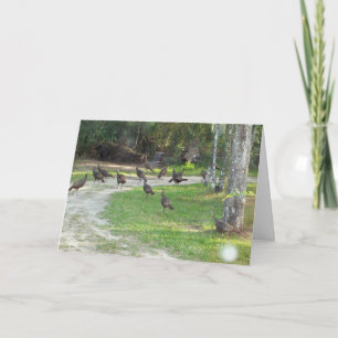 Wild Turkey Holiday Card