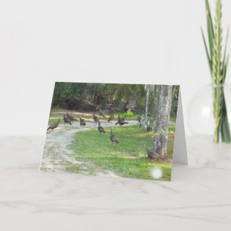 Wild Turkey Holiday Card