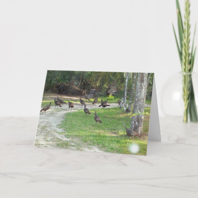 Wild Turkey Holiday Card (Front)