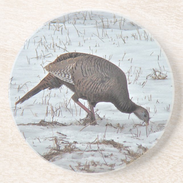 Wild Turkey in Snowy Field Coaster (Front)