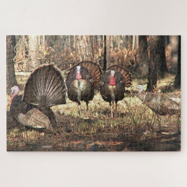 Wild Turkey In The Woods Bird Jigsaw Puzzle (Horizontal)
