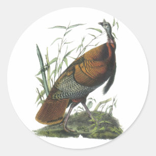 Wild Turkey, John Audubon Classic Round Sticker