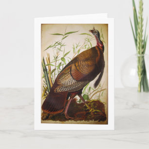 Wild Turkey, John James Audubon Card