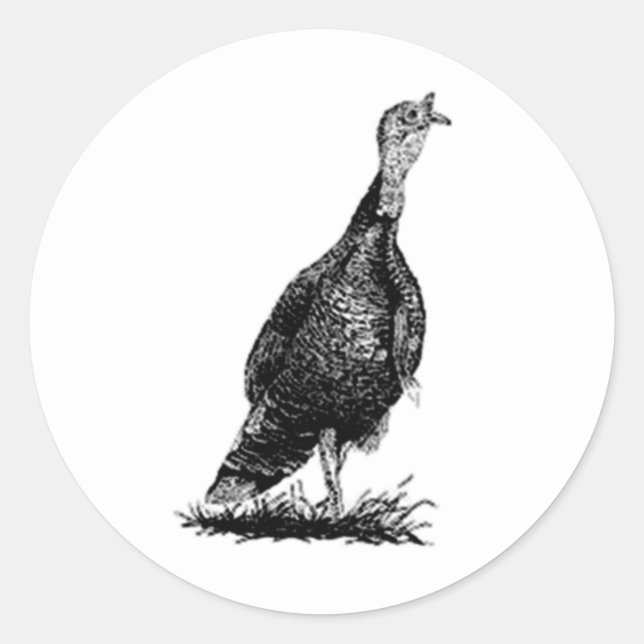 Wild Turkey (line art) Classic Round Sticker (Front)