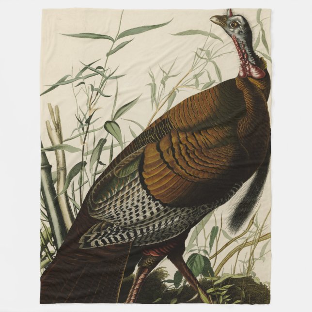 Wild Turkey (Male) from Audubon's Birds of America Fleece Blanket (Front)