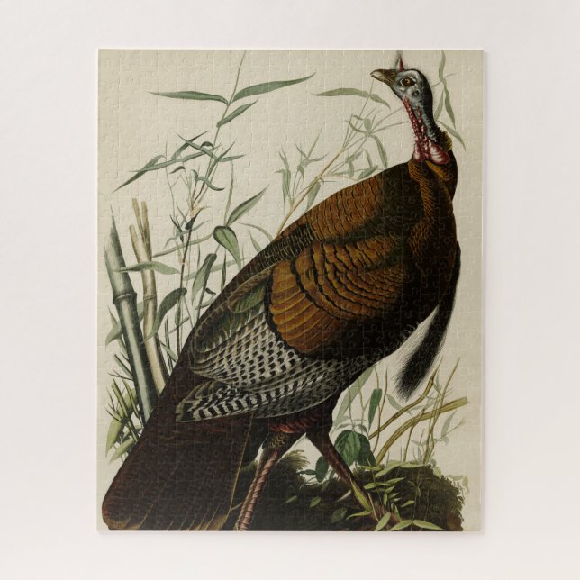 Wild Turkey (Male) from Audubon's Birds of America Jigsaw Puzzle (Vertical)