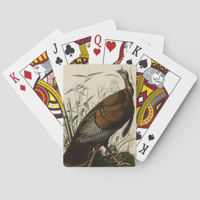 Wild Turkey (Male) from Audubon's Birds of America Playing Cards (Back)
