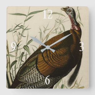 Wild Turkey (Male) from Audubon's Birds of America Square Wall Clock