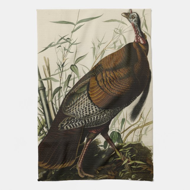 Wild Turkey (Male) from Audubon's Birds of America Tea Towel (Vertical)