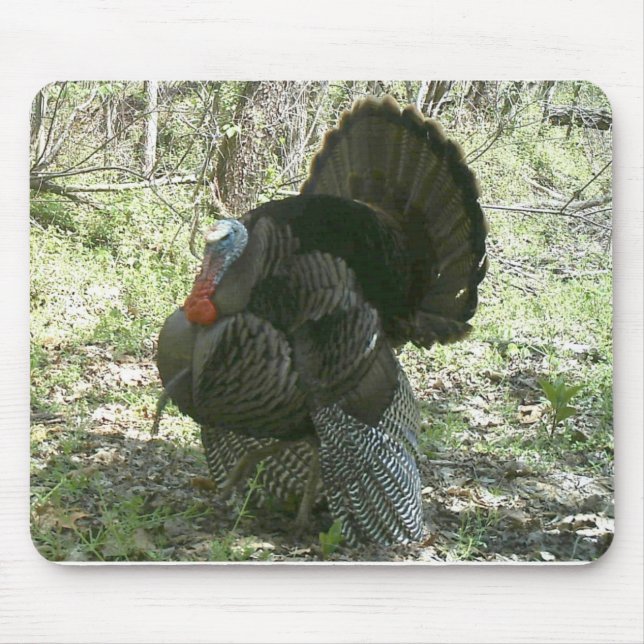 WILD TURKEY MOUSEPAD (Front)