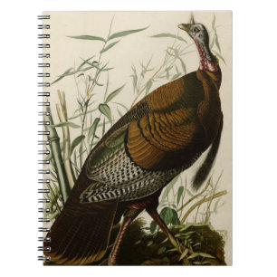 Wild Turkey Notebook
