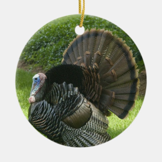 Wild Turkey Ornament (Front)