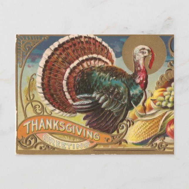 Wild Turkey Postcard (Front)
