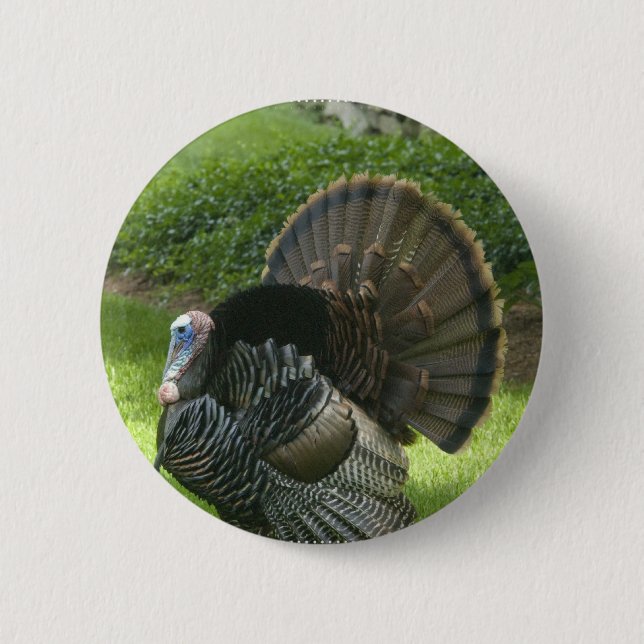 Wild Turkey Round Button (Front)
