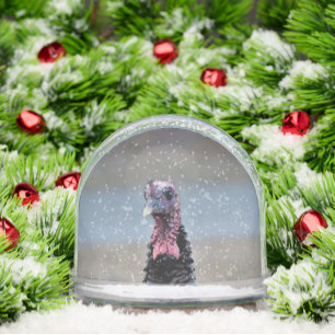 Wild Turkey Snow Globe