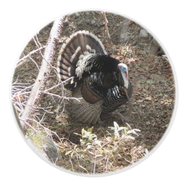 Wild Turkey Strutting for the Ladies Ceramic Knob (Front)