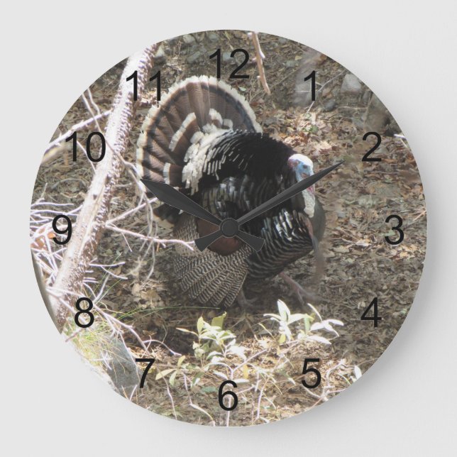 Wild Turkey Strutting for the Ladies Large Clock (Front)