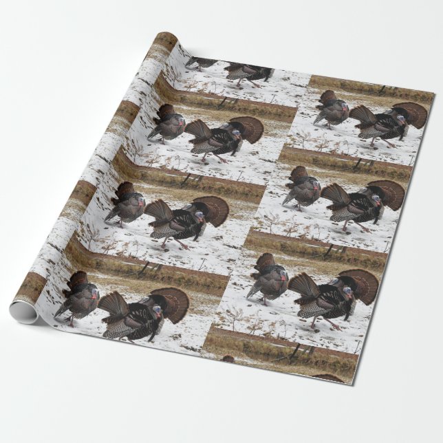 Wild Turkey Strutting Their Stuff Wrapping Paper (Unrolled)