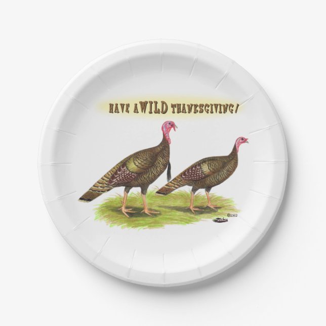 Wild Turkey Thanksgiving Paper Plate (Front)