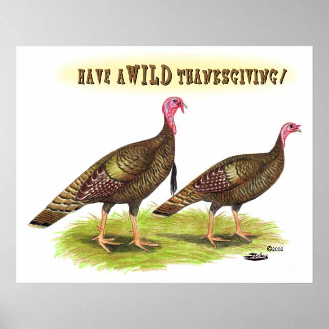 Wild turkey Thanksgiving Poster (Front)