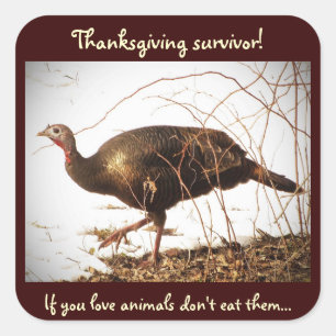 Wild Turkey Vegetarian Sticker