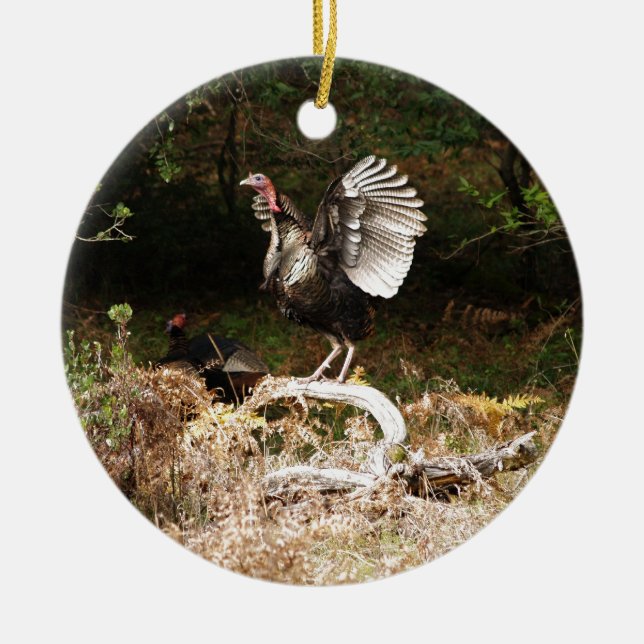 Wild Turkeys Ceramic Tree Decoration (Front)