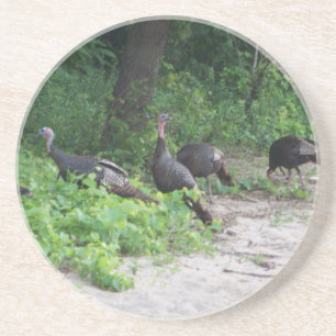Wild Turkeys Coaster