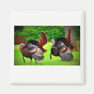 Wild Turkeys Decorated Magnet