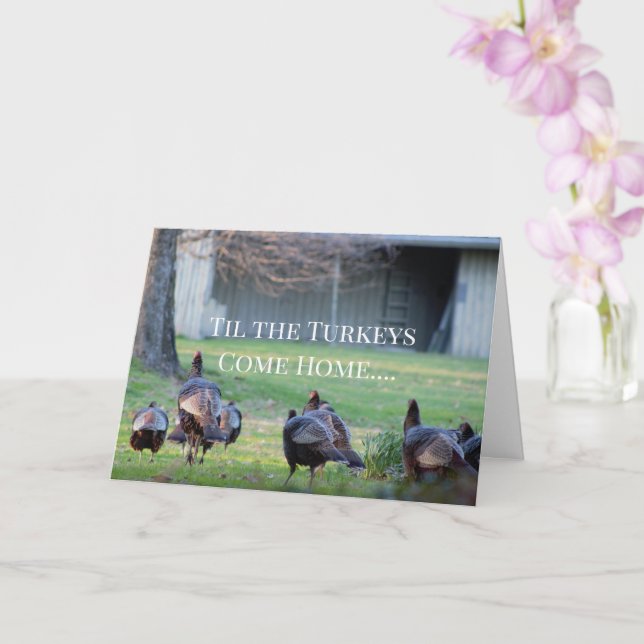 Wild Turkeys Funny Card (Orchid)