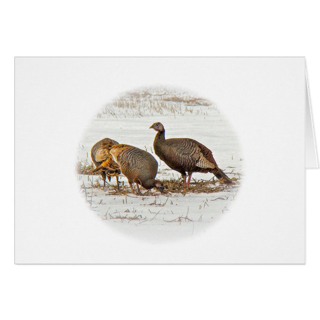 Wild Turkeys in Snow (Front Horizontal)