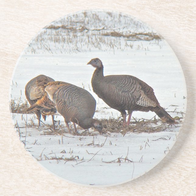 Wild Turkeys in Snowy Field Coaster (Front)
