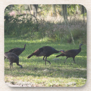 Wild Turkeys in the Grass Photograph Coaster