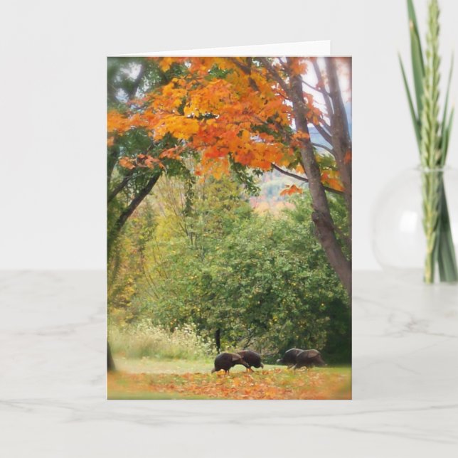 Wild Turkeys in Vermont Card (Front)