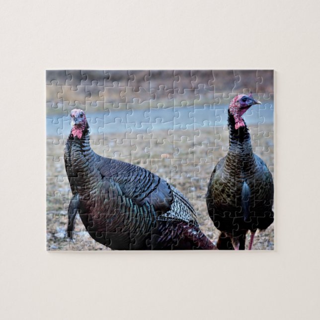 Wild Turkeys Jigsaw Puzzle (Horizontal)