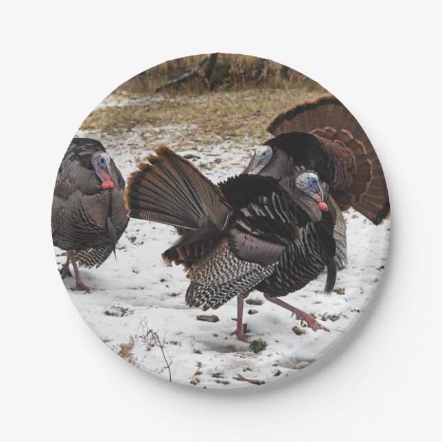 Wild Turkeys Strutting Their Stuff Paper Plate (Front)
