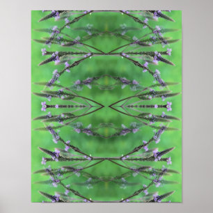 Wild Vervain Flowers Abstract Poster