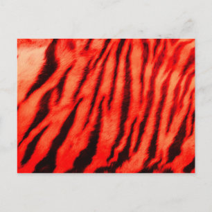 Wild & Vibrant Red Tiger Stripes Postcard