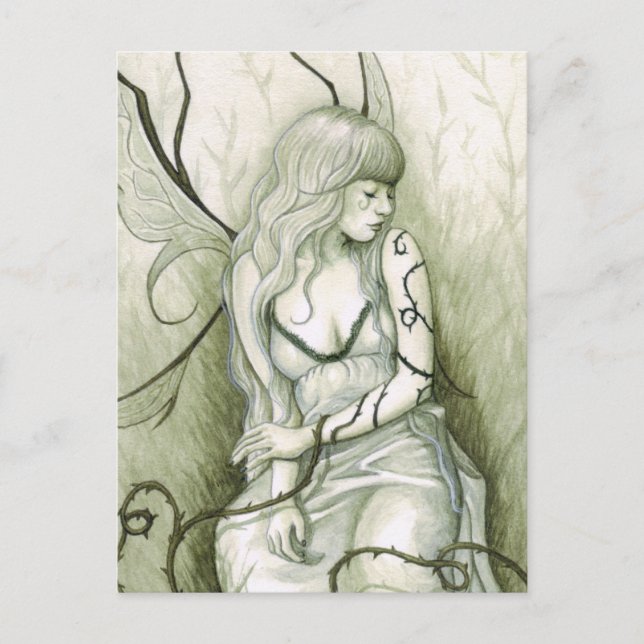 Wild Vines Postcards (Front)