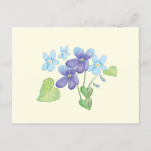 Wild Violet Flowers Illustration Postcard