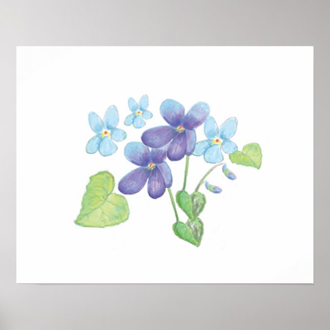 Wild Violet Flowers Illustration Poster (Front)