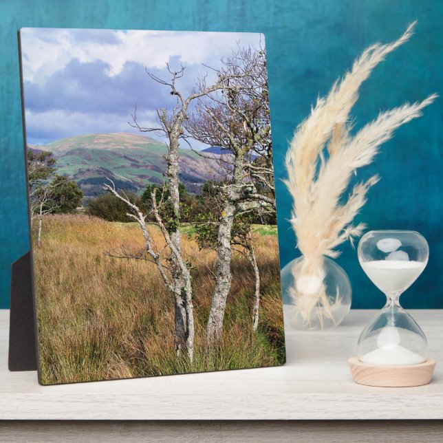 WILD WALES PLAQUE (Side)