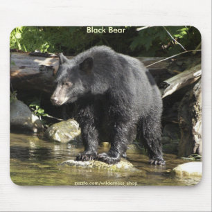 WILD WARRIORS Black Bear Photo Collection Mouse Mat